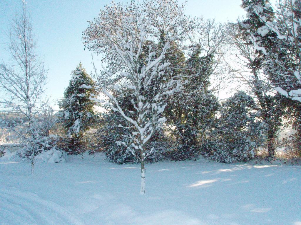 Birchdale House B&B Ратдрам Экстерьер фото